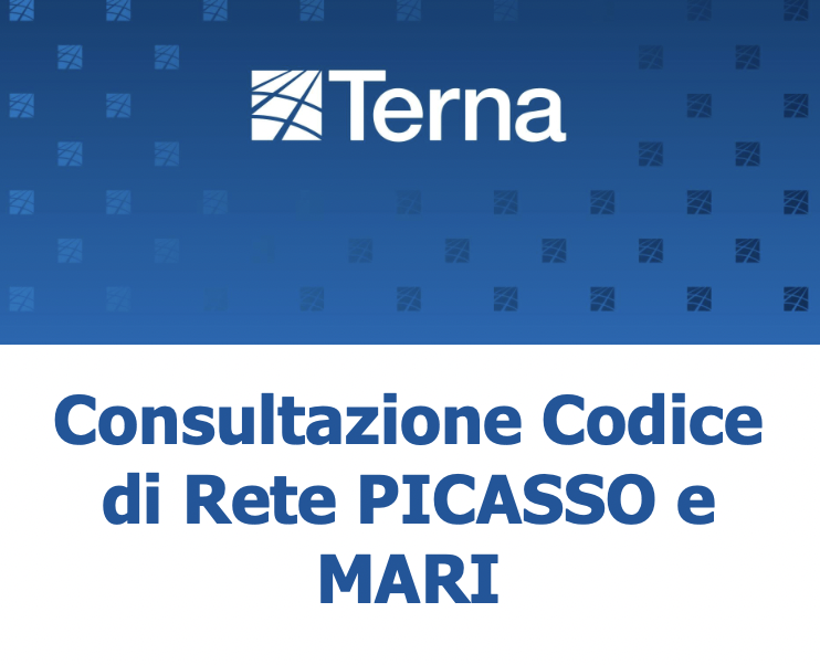 Consultazione Codice di Rete PICASSO e MARI